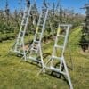 Orchard Ladders