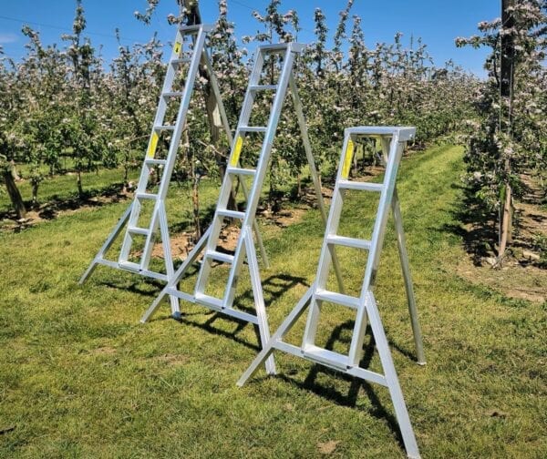 Orchard Ladders