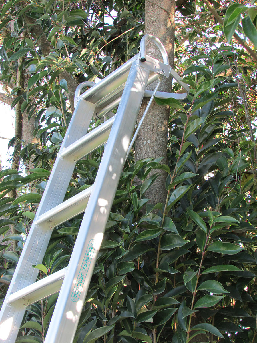 Tree Grip Head, Property Care Ladder