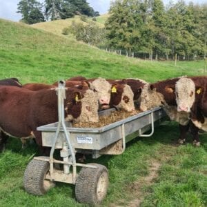 Feed Troughs